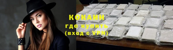 дживик Нея