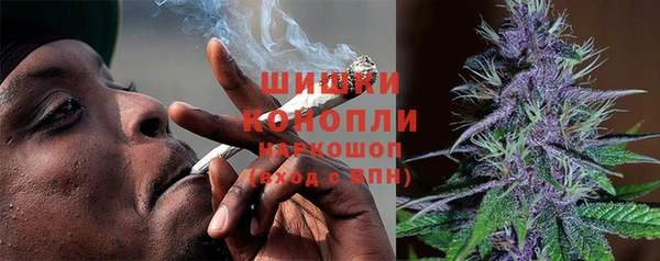 spice Абаза