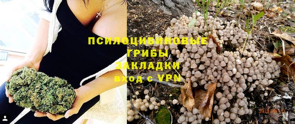 spice Абаза